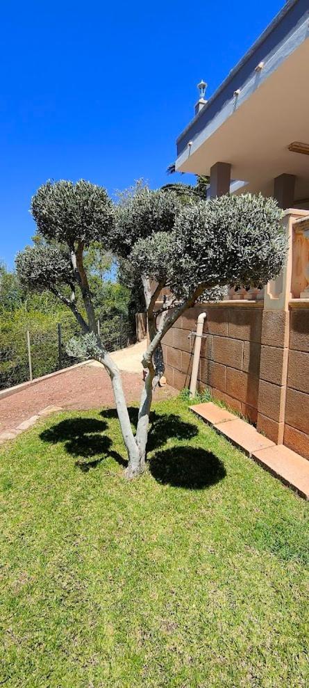 Villa Capllonch Banyalbufar Bagian luar foto