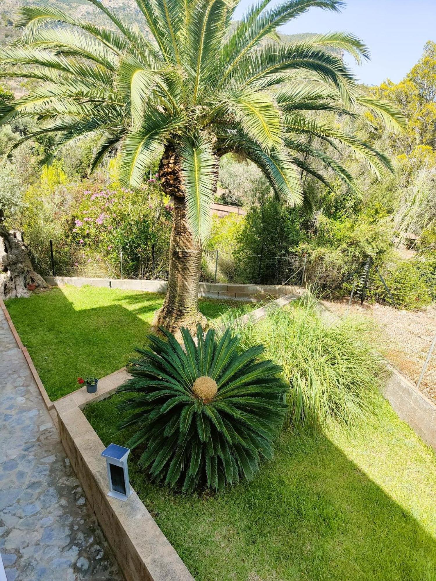 Villa Capllonch Banyalbufar Bagian luar foto